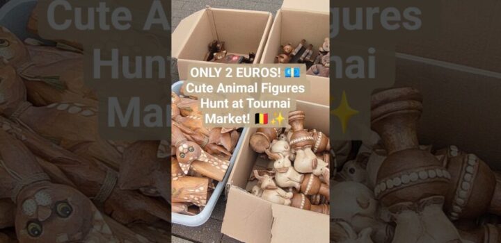 , Montreuil au bois,ONLY 2 EUROS! 💶 Cute Animal Figures Hunt at Tournai Market! 🇧🇪✨